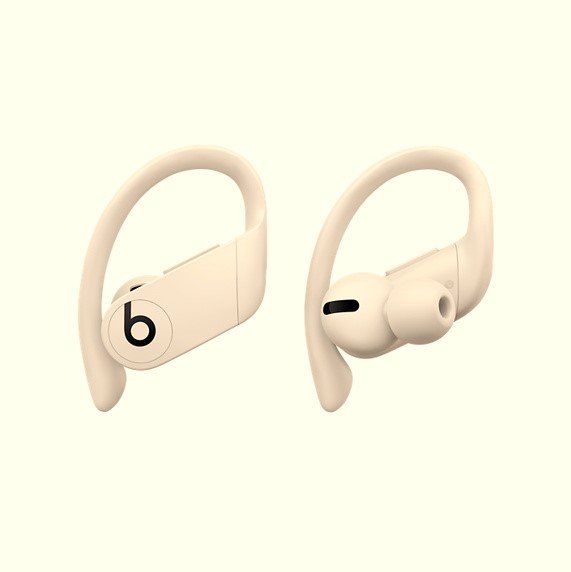 Beats Powerbeats Pro True Wireless Earbuds