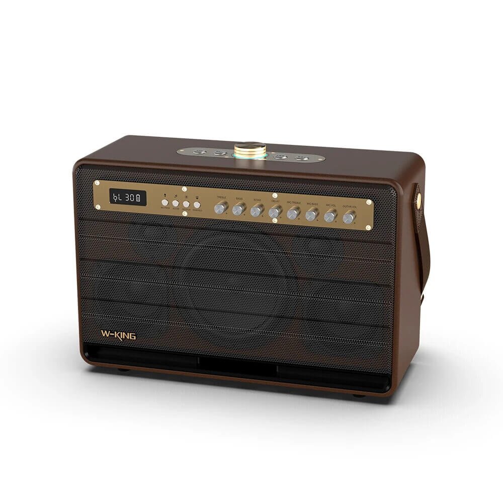 W-KING K6L 120W Retro Party Karaoke Bluetooth Speaker with Mic and Subwoofer